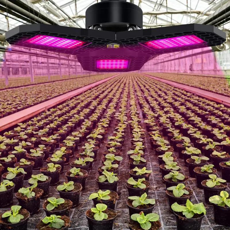 Grow Lights For Indoor Plants Full Spectrum LED Lighting Bulbs Greenhouse Lamp For Plants Growth For Tomatoes Peppers Eggplants