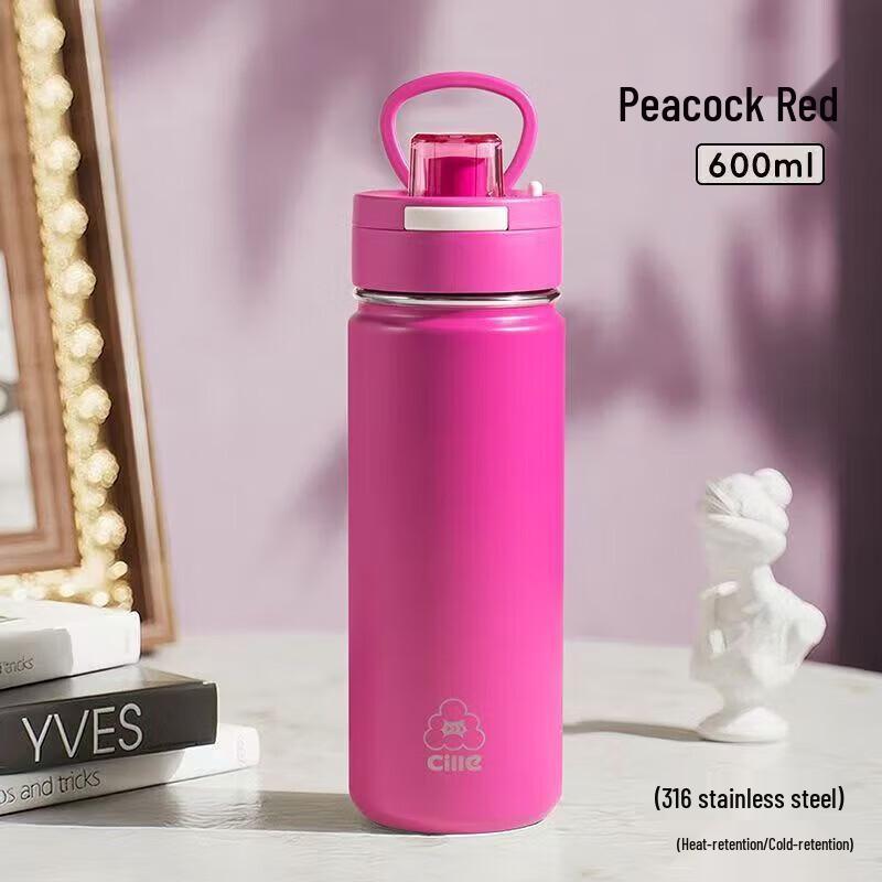 Cille Portable Stainless Steel Insulated Straw Water Bottle
