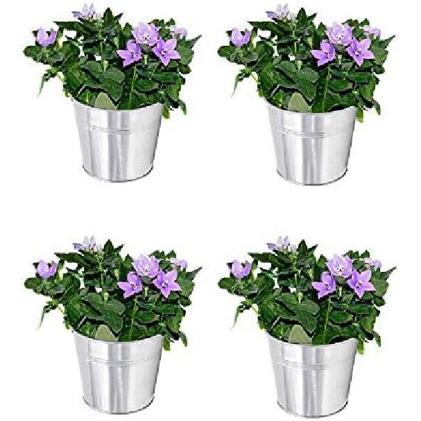 KINJOEK 8 Packs 4.72 X 4.72 X 3.54 Inch Galvanized Bucket Metal Planter, Silver Round Flower Pot Plant Basket for Balconies, Gardens, Patios, Office,