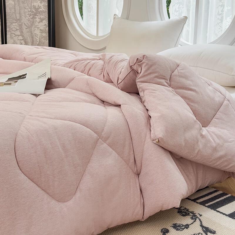 Baifudi All-Season Down Alternative Duvet Insert
