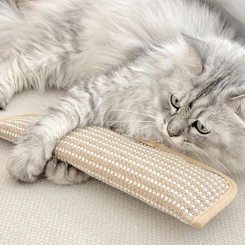 Durable Cat Teething Toy – Catnip Pillow & Sisal Scratch Board for Dental Care & Entertainment