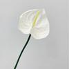 26" Real Touch Anthuriums Plant Artificial Tropical Flower with Long Stem Faux Floral Arrangement for DIY Vase Table Centerpiece Home Office Wedding