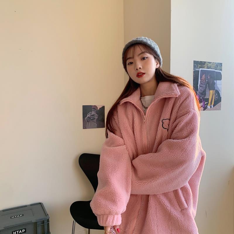 Autumn and Winter New Coat Women's Loose Embroidery Small Student Zipper Short Coat