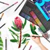 Roleness Colored Pencil Set for Kids and Coloring Soft Beginner and Professional Gift Set 72-Color Oil-Based Adults, Books, High-Color, Core, Grade,