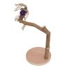 Parrot Standing Stick Safe Natural Detachable Wood Bird Perch Stand with Base for Birds Parrots