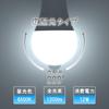 ORALUCE LED Light Bulb E26 Base Motion Sensor Light Bulb 100W Equivalent Daylight Color 6500K 12W 1200lm Automatic Turn With Sensor Prevents You From