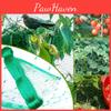 Protect Your Garden Fruits And Vegetables With Reusable Bird Netting