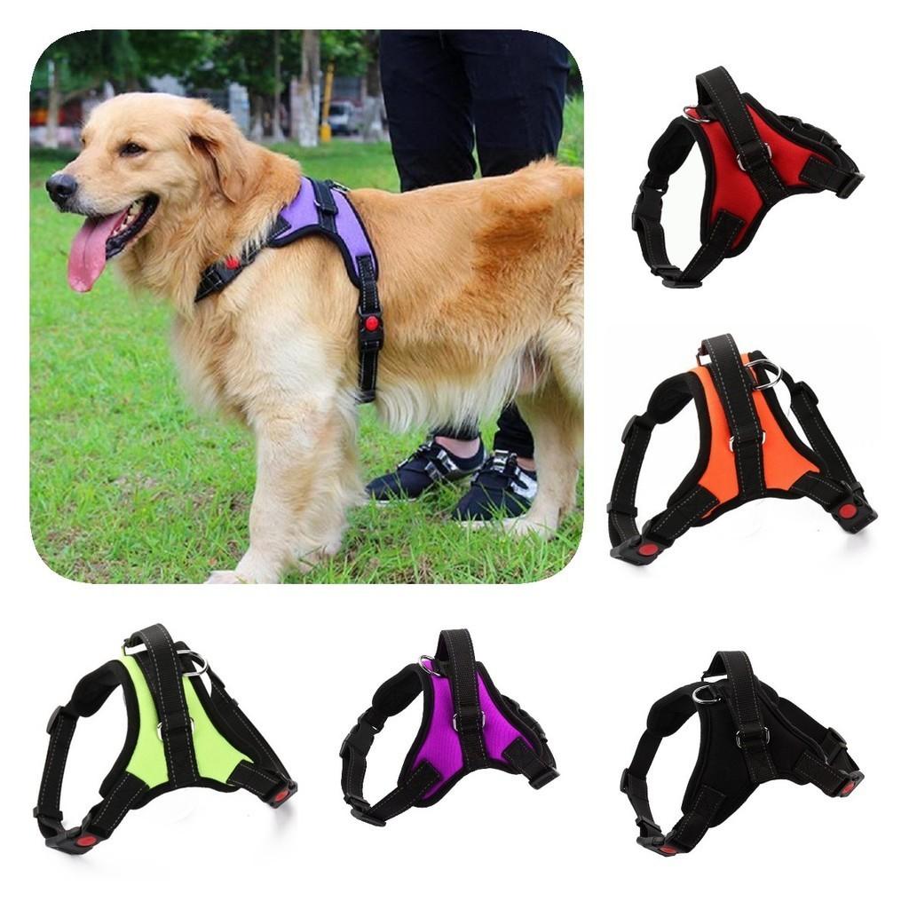 Small And Medium-sized Dog Harness Easy To Put On And Take Off With Adjustable Straps