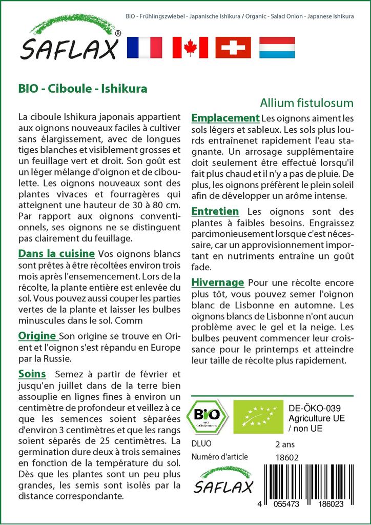 SAFLAX Garden In the Bag - Organic - Salad Onion - Japanese Ishikura - 150 Seeds - With Substrate In a Fitting Stand Up Bag - Allium Fistulosum