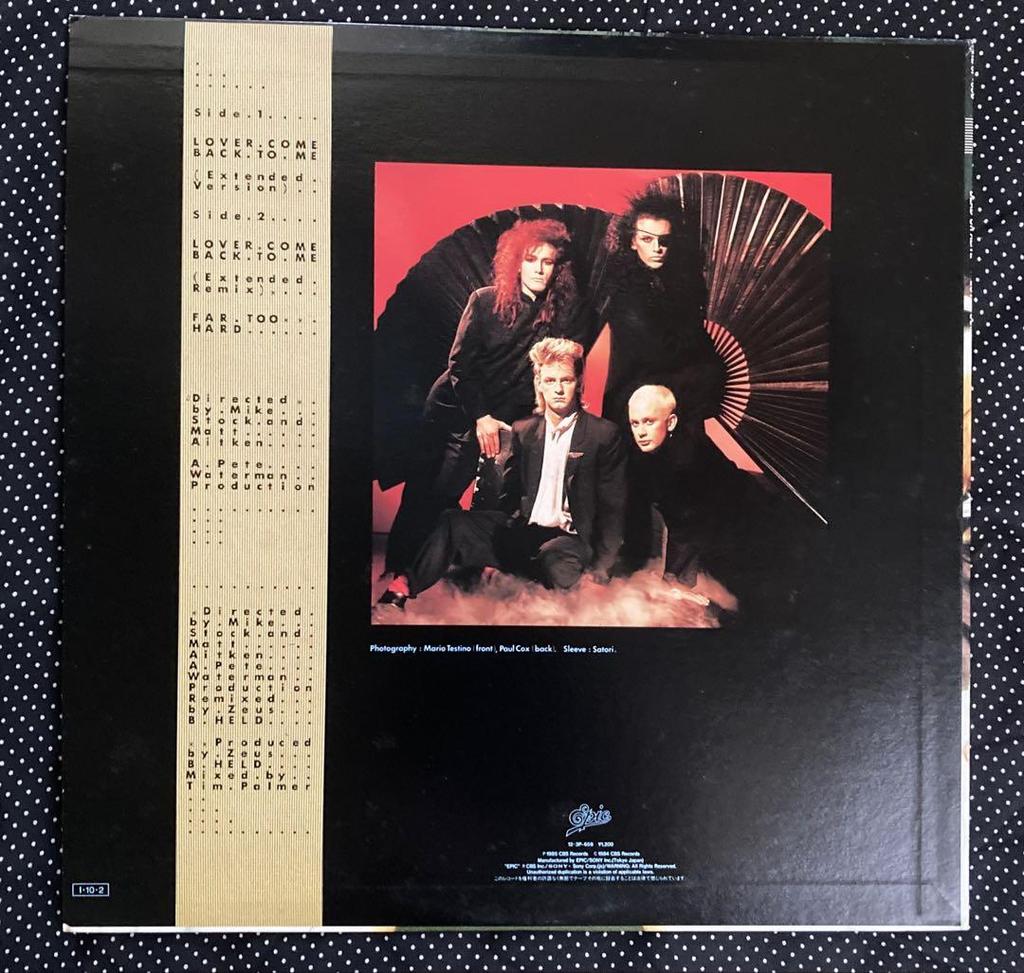 [USED] Dead Or Alive Domestic 12-inch Records X 2