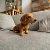 Realistic Dachshund Plush Toy with Ultra-Soft Fur, Comforting Hug-Like Design, Emotional Support Companion for All Ages