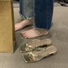 French Flip-flops Outer Women's Shoes Spring and Summer 2025 New Thick Heel Square Toe Silver Sandals