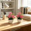 Multicolor Simulation Flowerpotted With Flowerpot Faux Potted Flowers  Home Decoration
