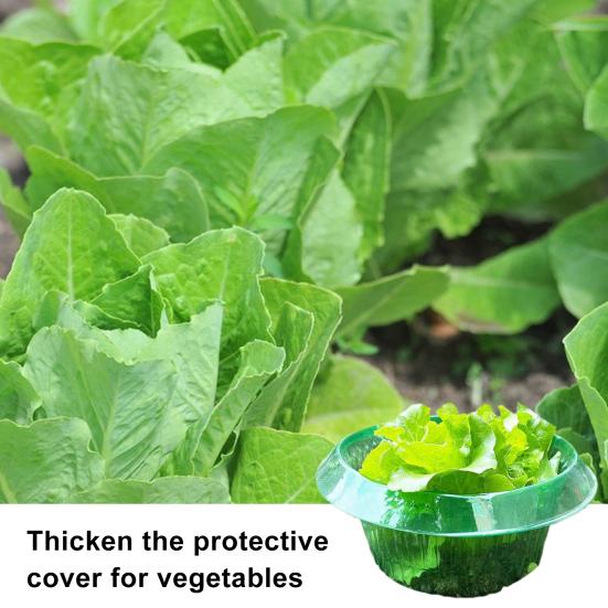 1/5/15Pcs Transparent Garden Cloches Planter Slug Collar Plant Protectors Weather-Resistant Reusable Snail Defense Plant Cover Protectors