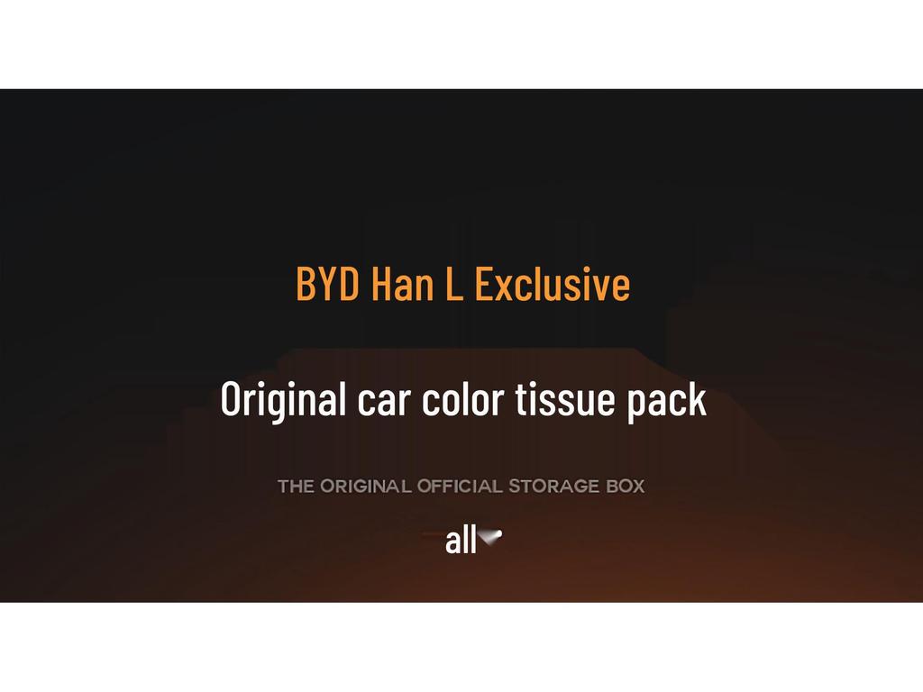 BYD Han L Car Seat Armrest Hanging Tissue Box