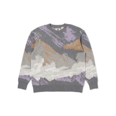Levis FW22 Rundhalsmuster Bedruckter Lockerer Kaschmirpullover Herrenpullover Grau A0731-0004