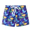 Boy's Spring and Summer Casual Shorts Fashion Print  Beach Shorts