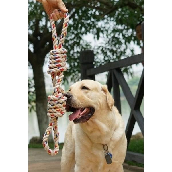 Billy's Haus Welpe Großer Hund Turg Spiel Zähneknirschen Spielzeug, 1 Stück