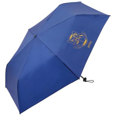 Skater Super Folding Harry Potter Lightweight, Water-Repellent Umbrella, 55cm, Design, UBUWO55-A