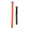 1 Pcs Cargo Straps Recyclable Bundle Luggage Fastening Rope Buckle Lower Eyelash Strap Bundle Outdoor Travel Camping Tools