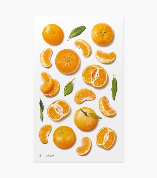Decorative Fruit Stickers Mandarins Appree