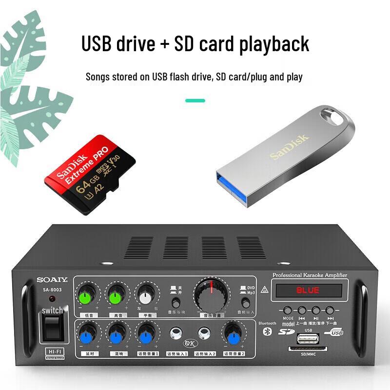 Soaiy CK-M66 Professional Home KTV & Theater System