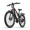 Bicicletă Electrică RANDRIDE YG90B Adult Motor 1000W Baterie 48V17Ah Încărcare 7-8h Bicicletă Electrică cu 21 de Viteze