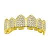European & American Hip-Hop Gold Grillz: Micro-Inlaid Fangs Jewelry