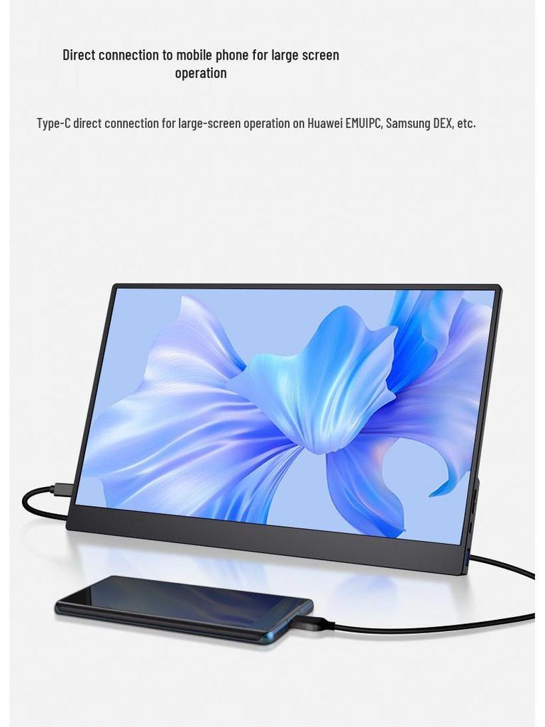 15.6" 4K Portable IPS Monitor for Laptops/Consoles
