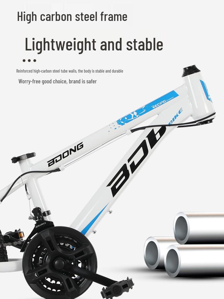 21-Speed Mountain Bike, 20-22 Inch, Dual Disc Brakes, Shock-Absorbing, Unisex Teen Road & Off-Road