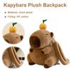 Children Mini Knapsack Bag Funny Girl Anime Crossbody Bag Soft Girl Small Backpack Plush Capybara School Bag for Girls Children