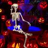 5.4FT Halloween Life Size Skeleton Halloween Skeleton With Movable Joints Realistic Full Body Skeletons For Halloween Props Spooky Party Decoration