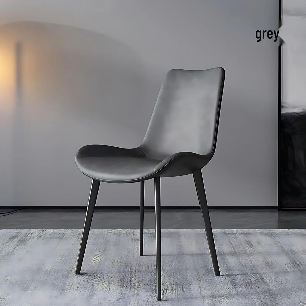 Modern Minimalist Italian Metal Dining Chair with Backrest - Light Luxury Style for Living Room and Home