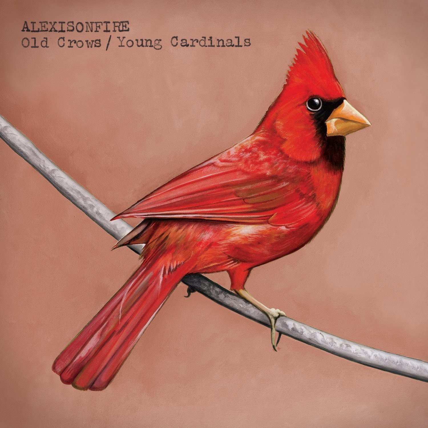 CD ALEXISONFIRE Old CrowsYoung Cardinals DAV017 Dine Alone Reco 2009 США Рок Б/у