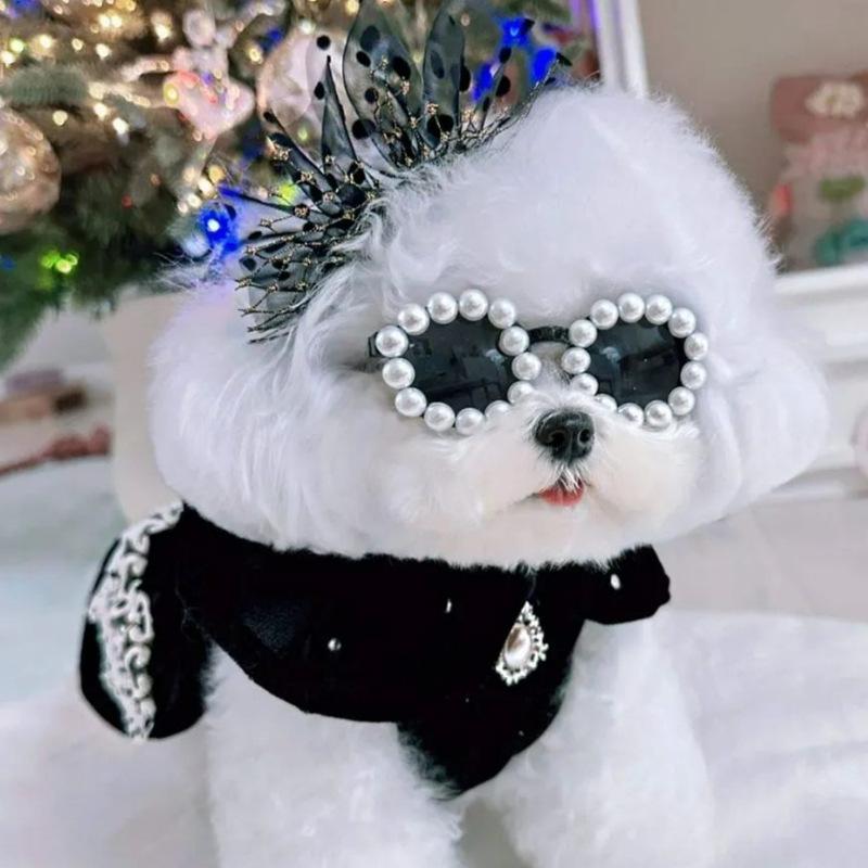 Abito da festa in velluto vestiti per cani autunno e inverno caldo orsacchiotto due zampe stile principessa gonna per animali domestici