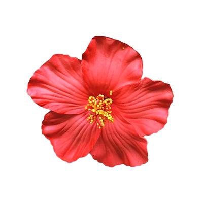 Hawaiian Colorful Flower Hair Clip For Women Girls Romantic Bohemian Flower Side Bangs Clip Bb Hair Clips Hair Accessories