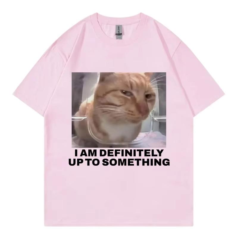 I Am Definitely Up To Something Funny Cat Meme Tshirt High Street Fashion Trend Women Casual Harajuku Short Sleeve Casual