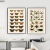 Antiker Schmetterling Vintage Poster Drucke Insektenart Naturerziehung Wandkunst Leinwandwandmalerei Bild Kinderzimmer Heimdekor