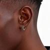 Vintage Viking Rune Hoop Earrings for Men Gothic Norse Viking Tiger Head Earrings Stainless Steel Nordic Amulet Jewelry Gifts