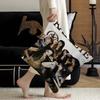 Band K-Katseye Pillow Anime Pillow Sofa Bed Head Pillow Cover Cushion Cover 45X45 Cm Fashion