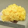 20g Natural Dried Flowers Hydrangea Macrophylla Home Flowers Decoration Wedding Celebration Bouquet Materials