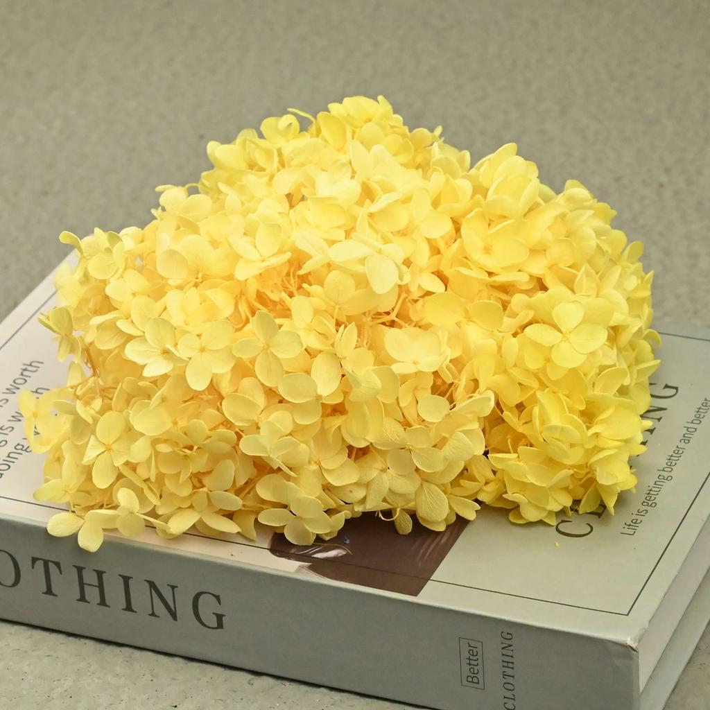 20g Natural Dried Flowers Hydrangea Macrophylla Home Flowers Decoration Wedding Celebration Bouquet Materials