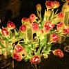 2024 Solar Flower Lantern: Outdoor LED Garden Light with 7-Head Water Droplet Sweetheart Roses