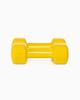 Vinyl Dumbbells (Pair)