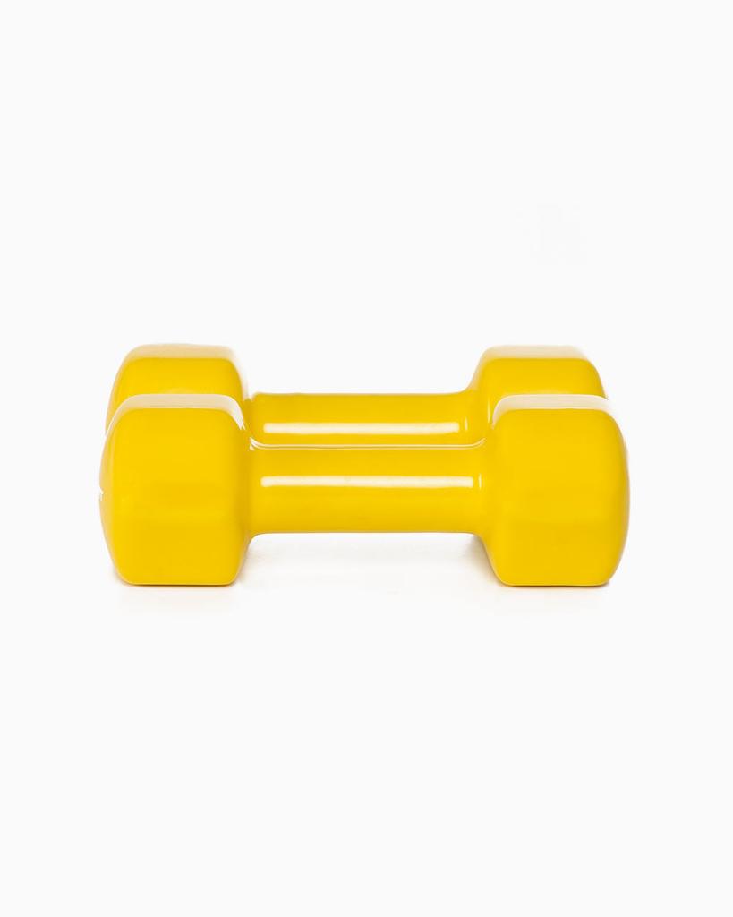 Vinyl Dumbbells (Pair)