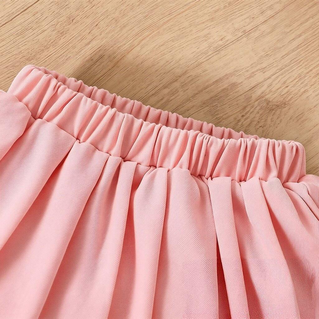 Baby Girl Clothing Set 0-2 Years Long Sleeve Top and Pleated Skirt Toddler Girls 2 Piece Outfit Princess Style Daily Wear Baby Clothes Birthday Party