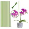 Garden Plant Support Stakes With Adjustable Water Flow For Home Gardening Enthusiasts