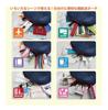 Miffy Multi-Pouch Message Beige