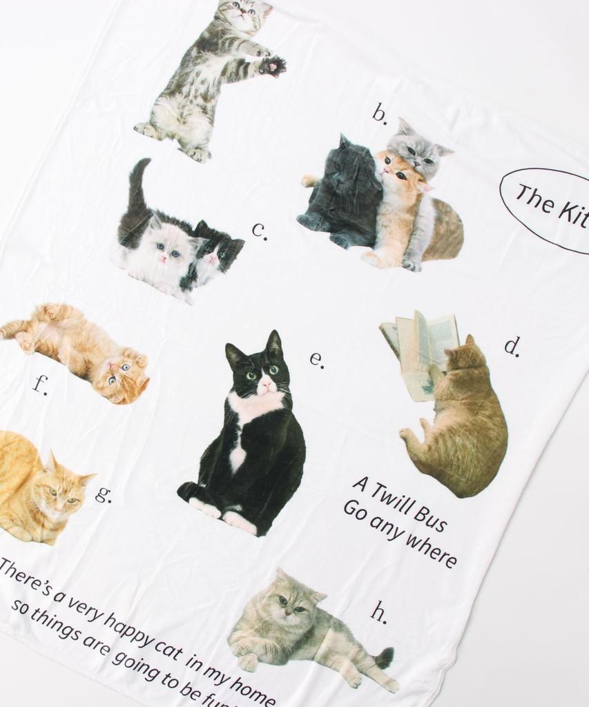 Flaneldecke, Mehrzweckdecke, Katzendesign, Naturfarben, Moderner Teppich, Stilvoller Teppich, Niedlich, Koreanische Innendecke, Kniedecke, 156x127cm, Sozial