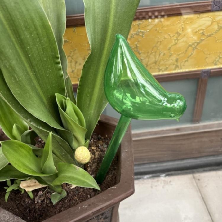 Automatic Watering Device Bird Shape Plant Waterer Watering Device Houseplant Watering Spikes Automatic Drippers